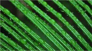 大切な人との楽しいコミュニケーションの道具top画像