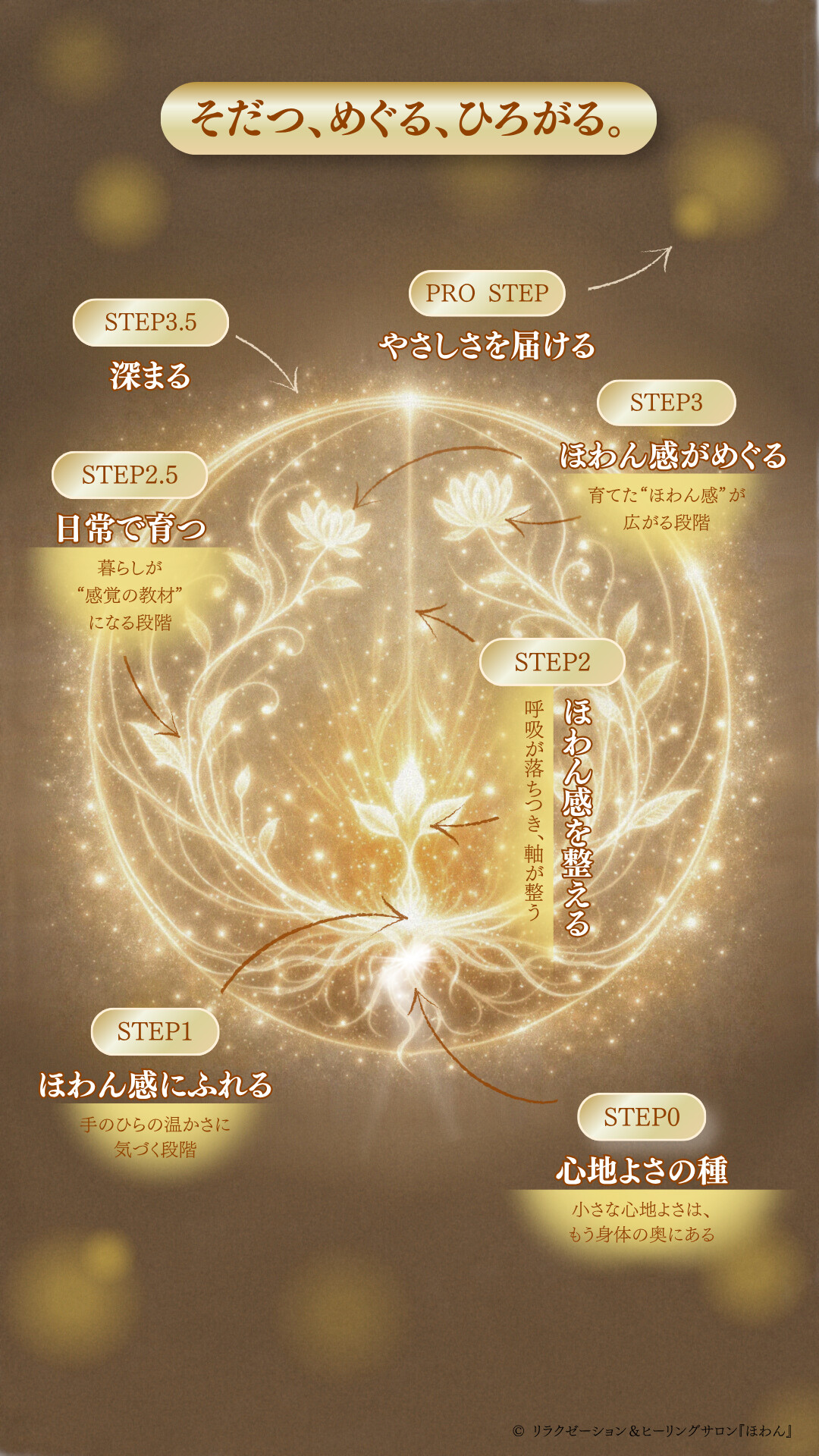 STEP0〜PROの全体イメージ図。 STEP0：身体の奥にある小さな心地よさ（気の種） STEP1：手のひらの温かさに気づく（ほわん感にふれる） STEP2：呼吸が落ちつき、軸が整う（ほわん感を整える） STEP2.5：暮らしの中で育つ（心地よさを日常に根づかせる） STEP3：育てたほわん感が広がる（ほわん感がめぐる） STEP3.5：深まる PRO STEP：やさしさを届ける